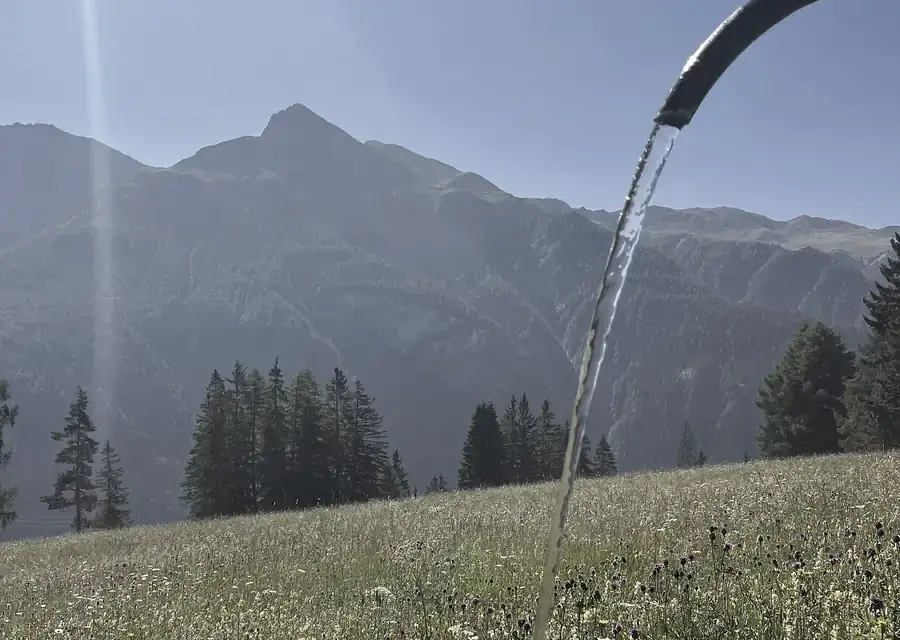Quellwasser aus dem Brunnen vor dem Maiensäss, dahinter Wiese und Berge