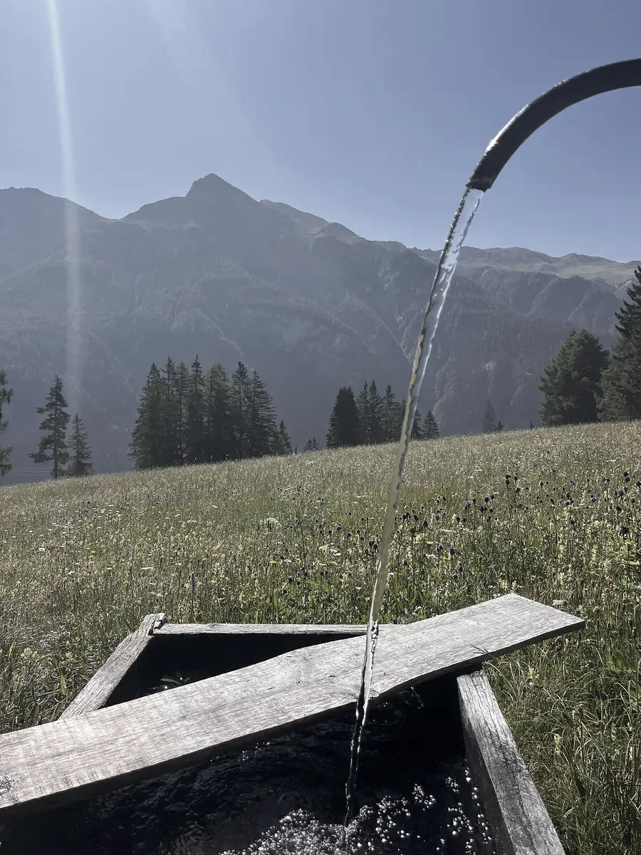 Quellwasser fliesst in den Holzbrunnen vor dem Maiensäss, dahinter Wiese und Berge